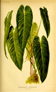 n46_w1150
