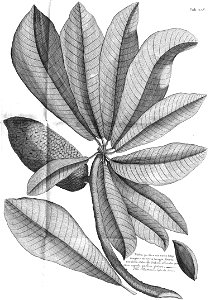 n581_w1150