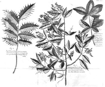 n551_w1150