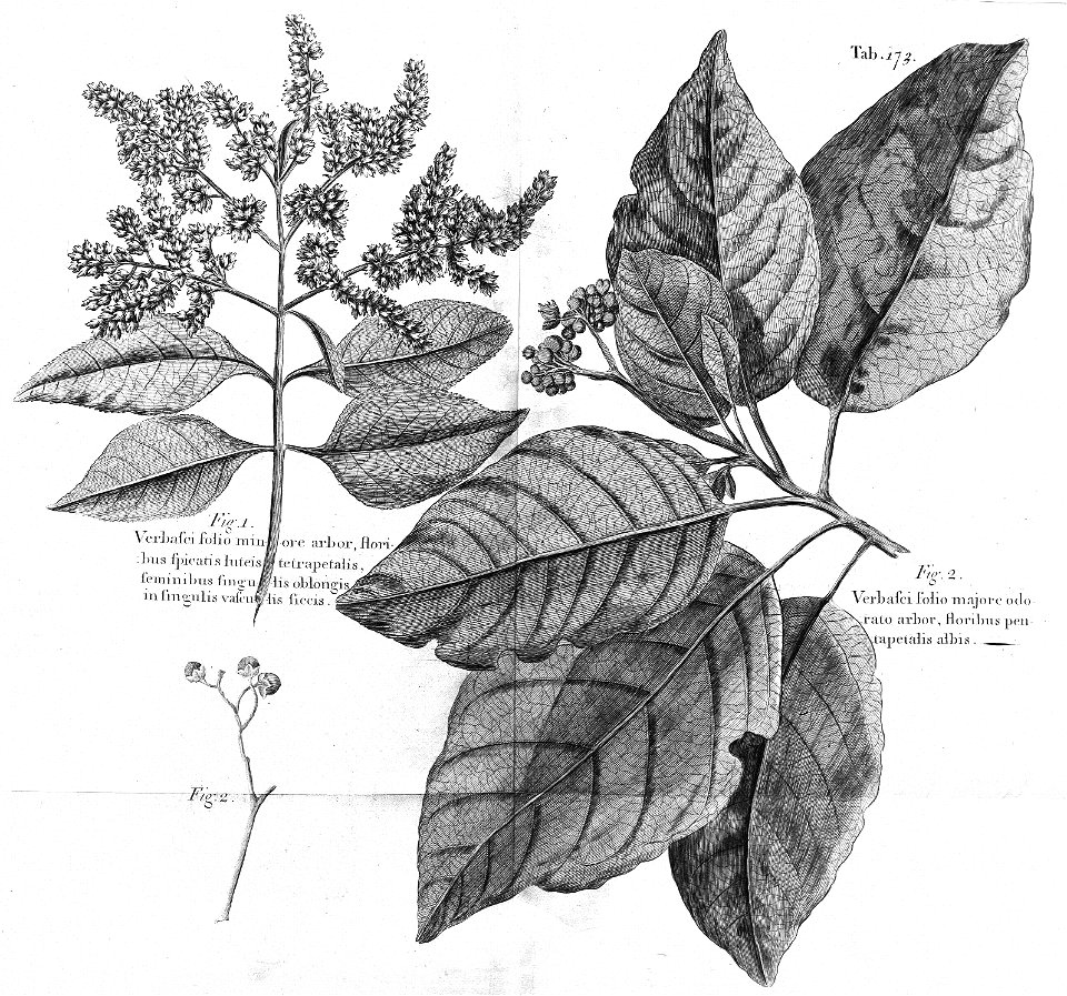 n536_w1150