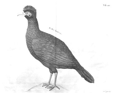 n623_w1150