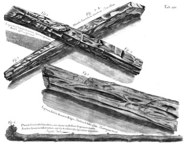n594_w1150