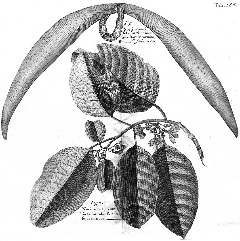 n549_w1150