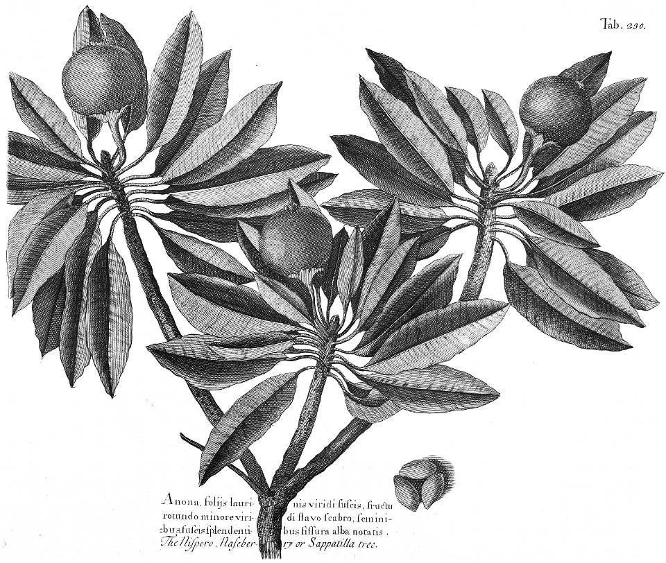 n593_w1150