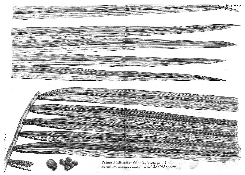 n578_w1150