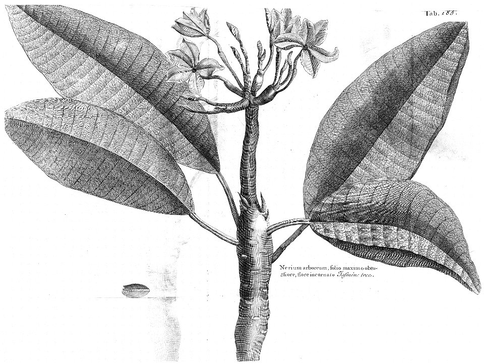 n548_w1150