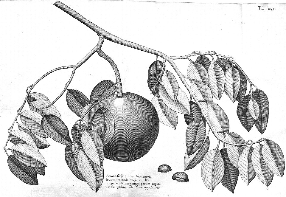 n592_w1150