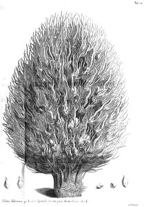 n577_w1150