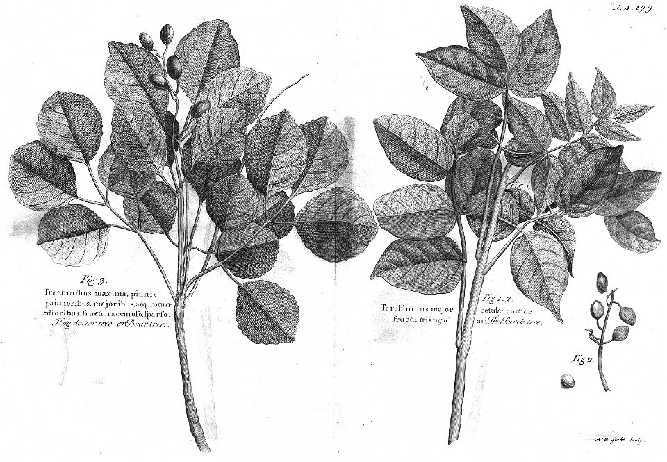 n562_w1150
