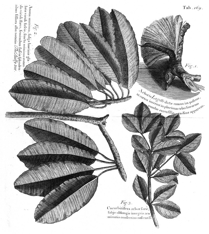 n532_w1150