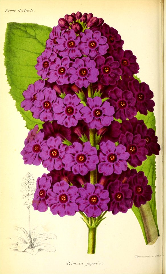 n633_w1150