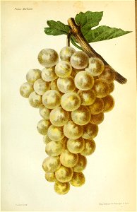 n114_w1150