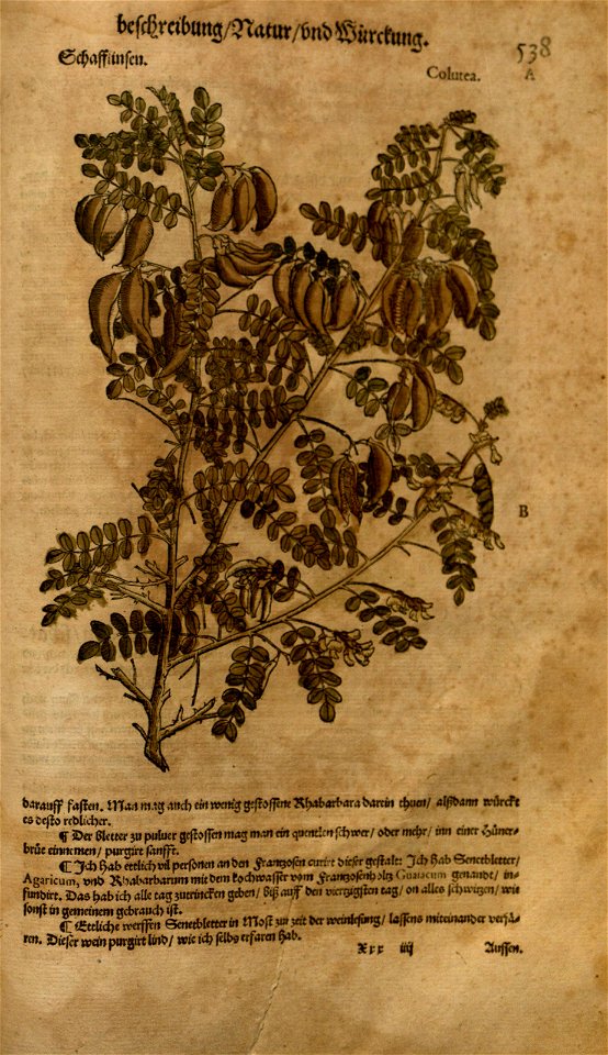 n1147_w1150