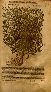n1109_w1150