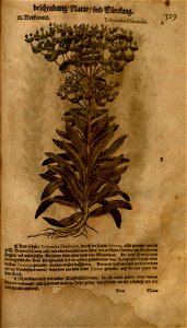 n1129_w1150
