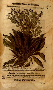 n1211_w1150