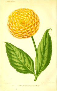 n435_w1150