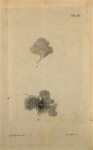 n392_w1150