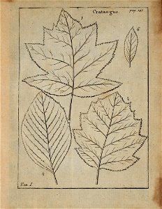 n368_w1150