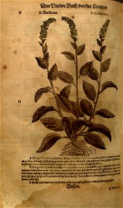 n1072_w1150