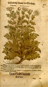 n973_w1150