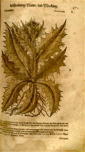 n611_w1150