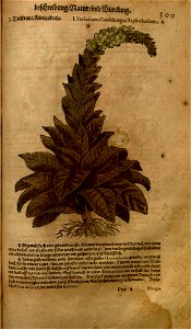n1071_w1150