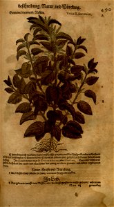 n1051_w1150