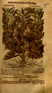 n991_w1150