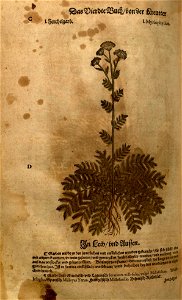 n1068_w1150