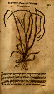 n1031_w1150