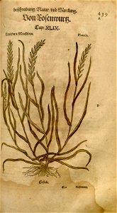 n949_w1150