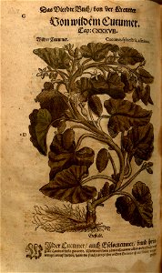 n1164_w1150