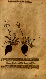 n1143_w1150