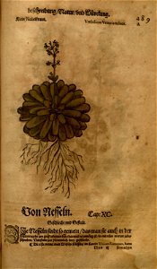 n1049_w1150