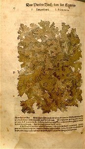 n968_w1150