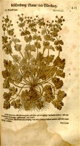 n921_w1150