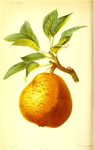 n369_w1150