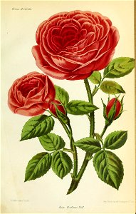 n138_w1150