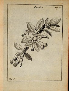 n364_w1150