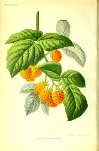 n257_w1150
