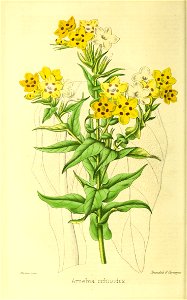 n59_w1150