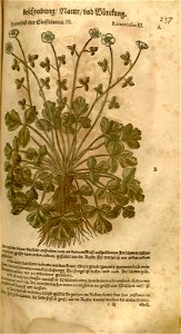 n545_w1150