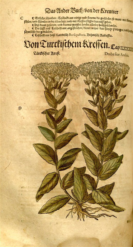 n498_w1150