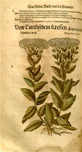 n498_w1150