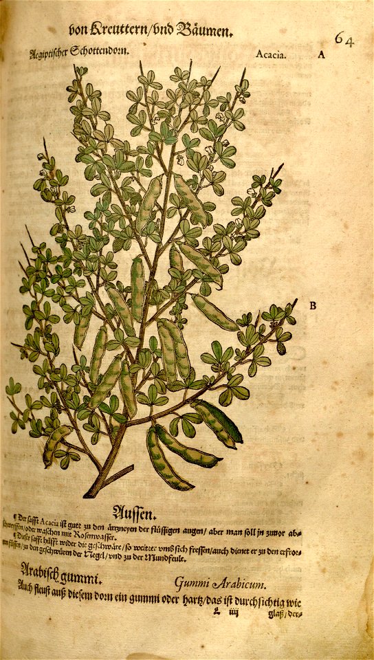n199_w1150