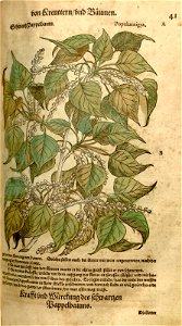n153_w1150