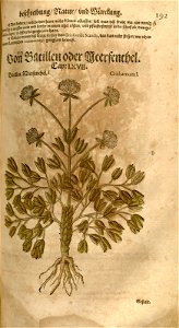 n455_w1150