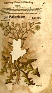 n433_w1150