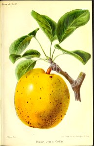 n138_w1150